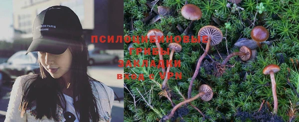 PSILOCYBIN Алексеевка