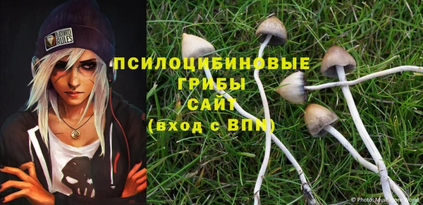 прущие крисы Арсеньев