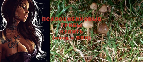 PSILOCYBIN Алексеевка