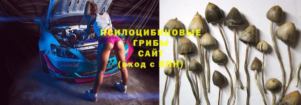 молекула духа Алзамай